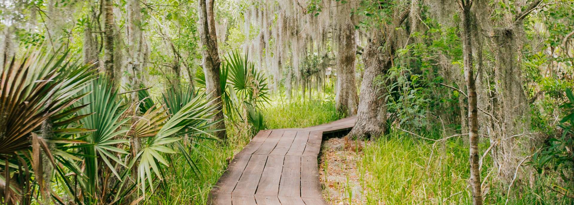 The Best Hiking Trails New Orleans