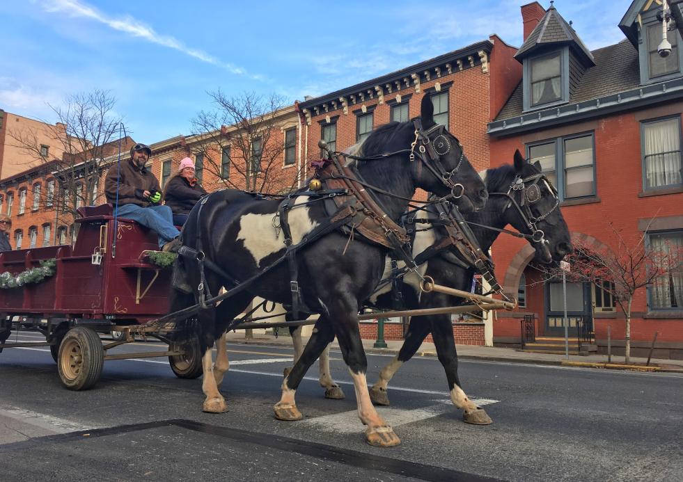 Horse Drawn Carriage At The Carlisle Winter Wonderland