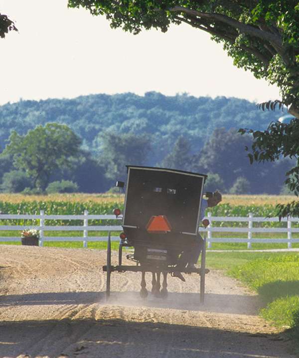 Image of Amish Buggy in Amish Country, northern Indiana