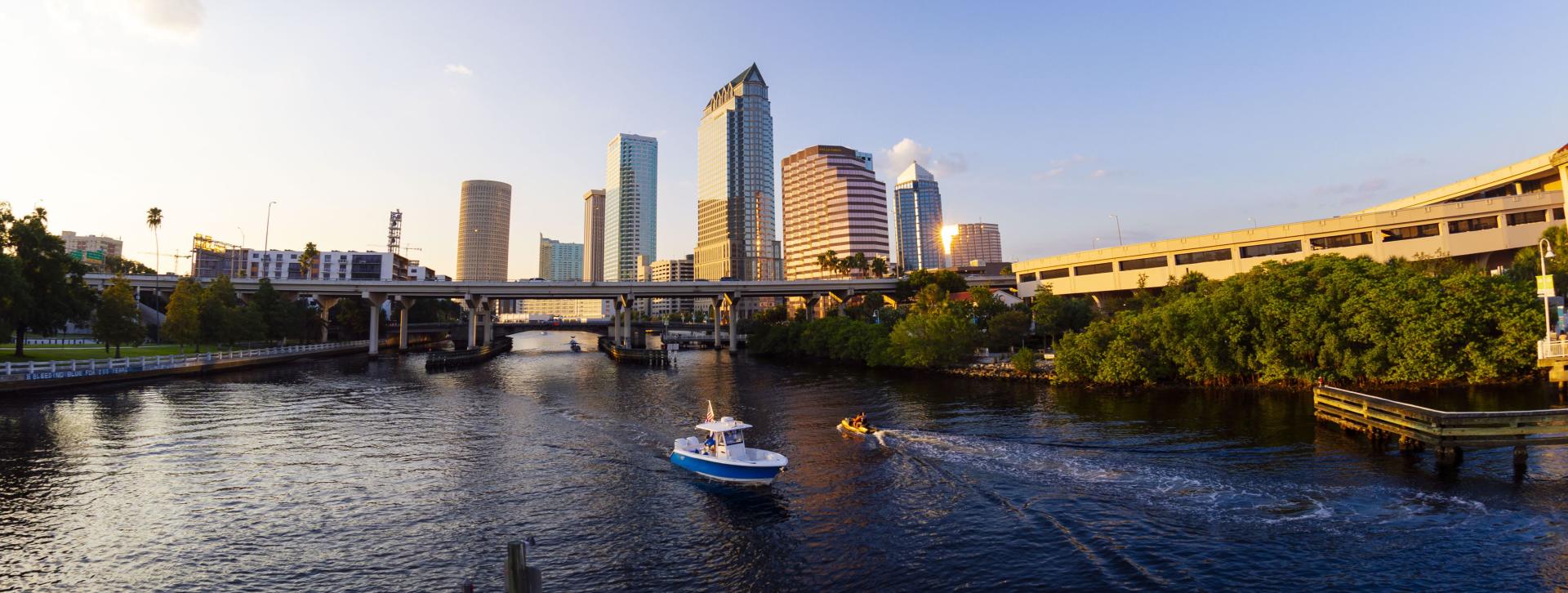 What's New in Tampa Bay?