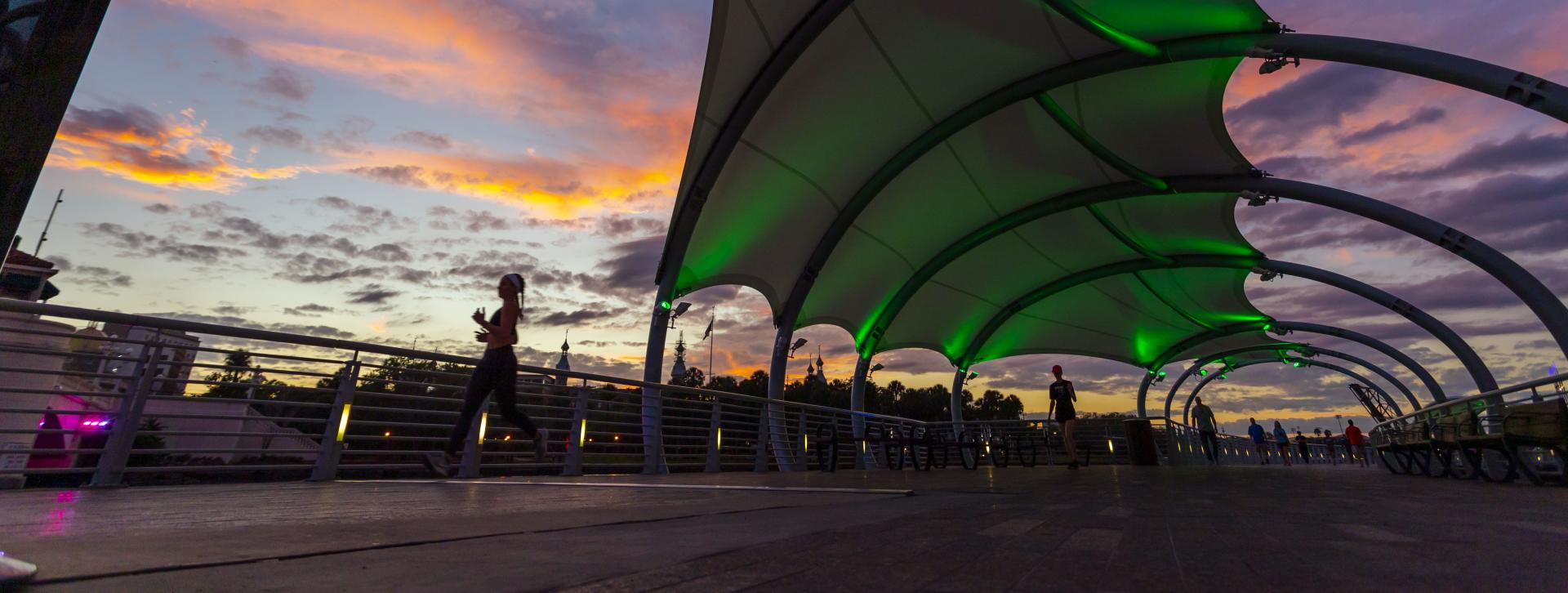 Tampa Florida Vacations Visit Tampa Bay