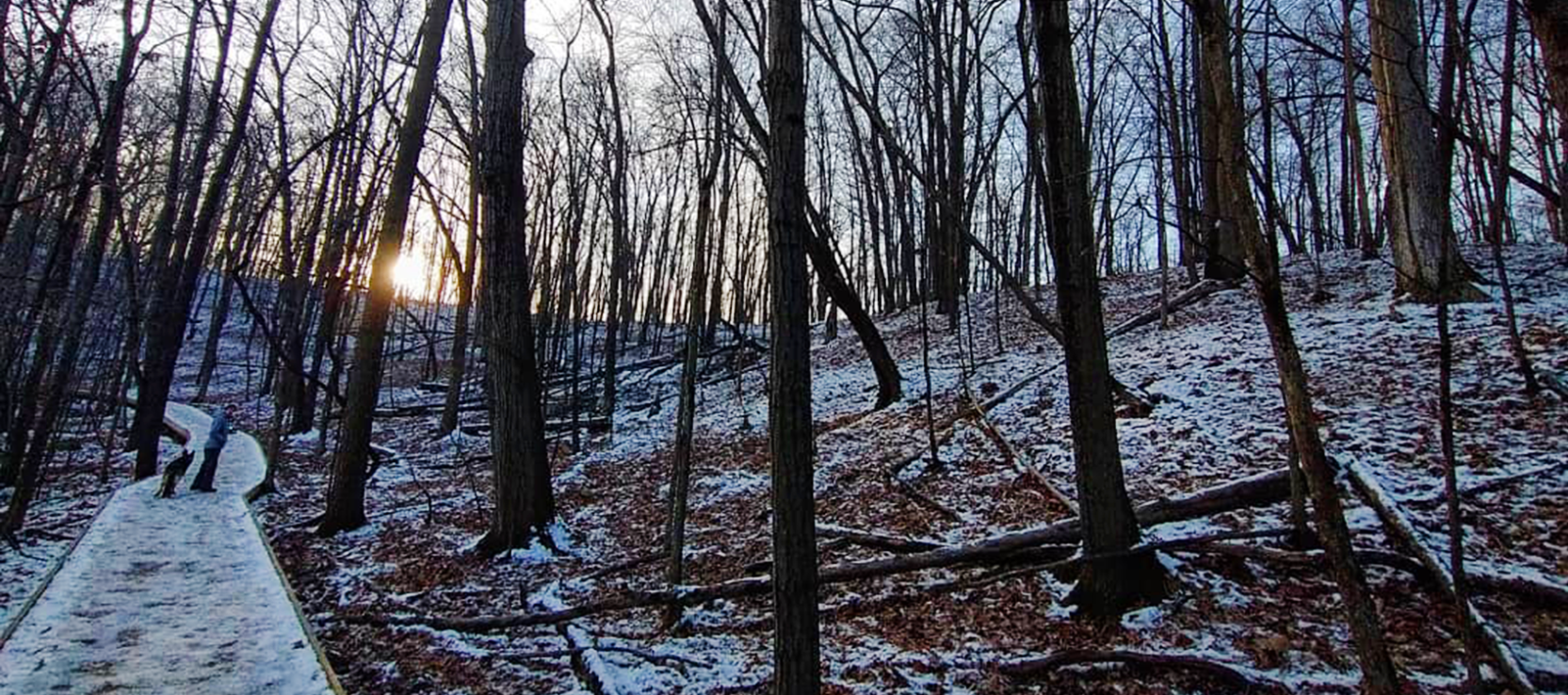 Cherry Hill Nature Preserve in winter