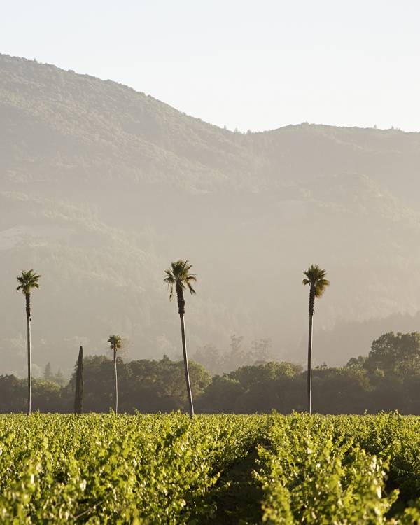 Exterior of Round Pond Winery in Rutherford, Napa Valley