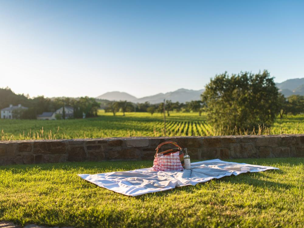 Napa Valley Picnic Best Places