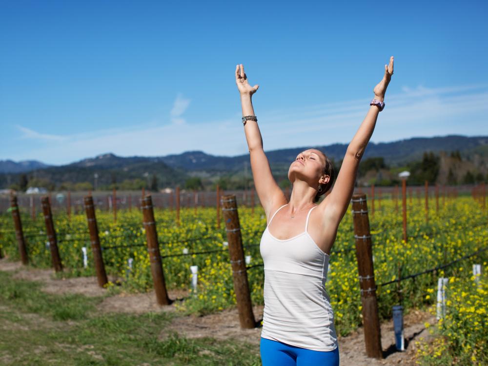 Napa Valley Yoga Wellness