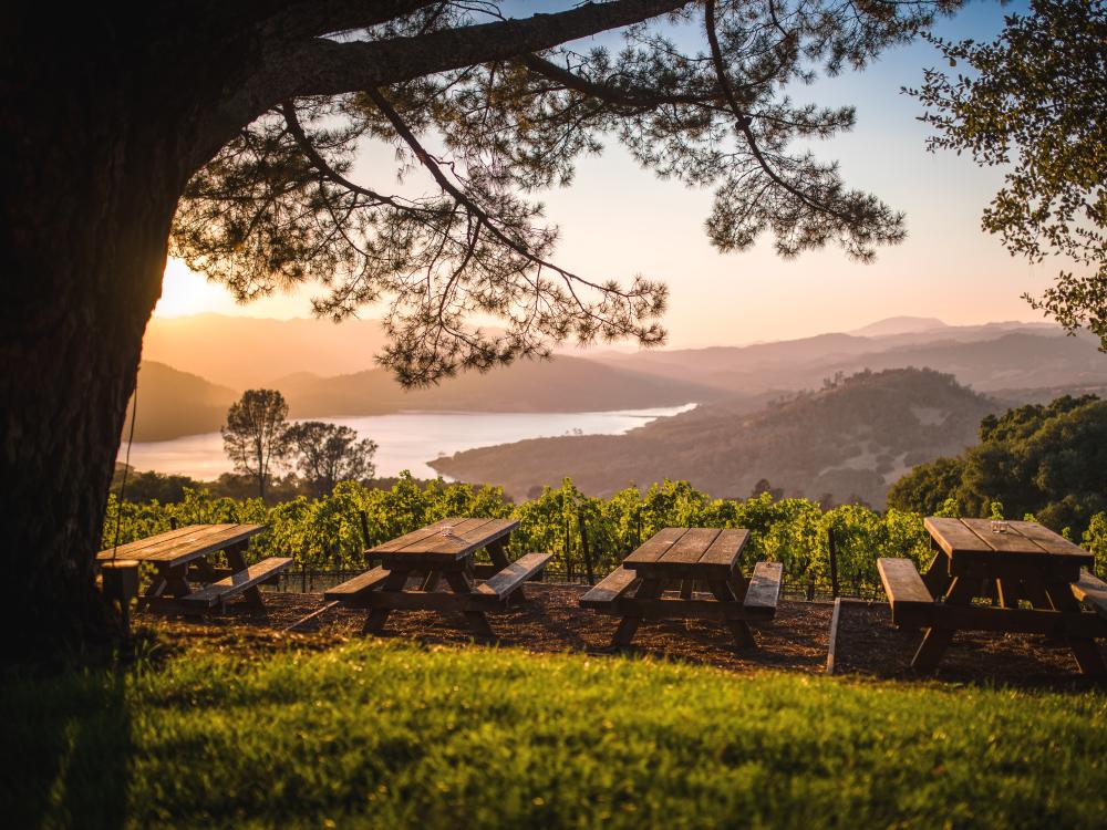 Napa Valley vista overlook at Chappellet Winery