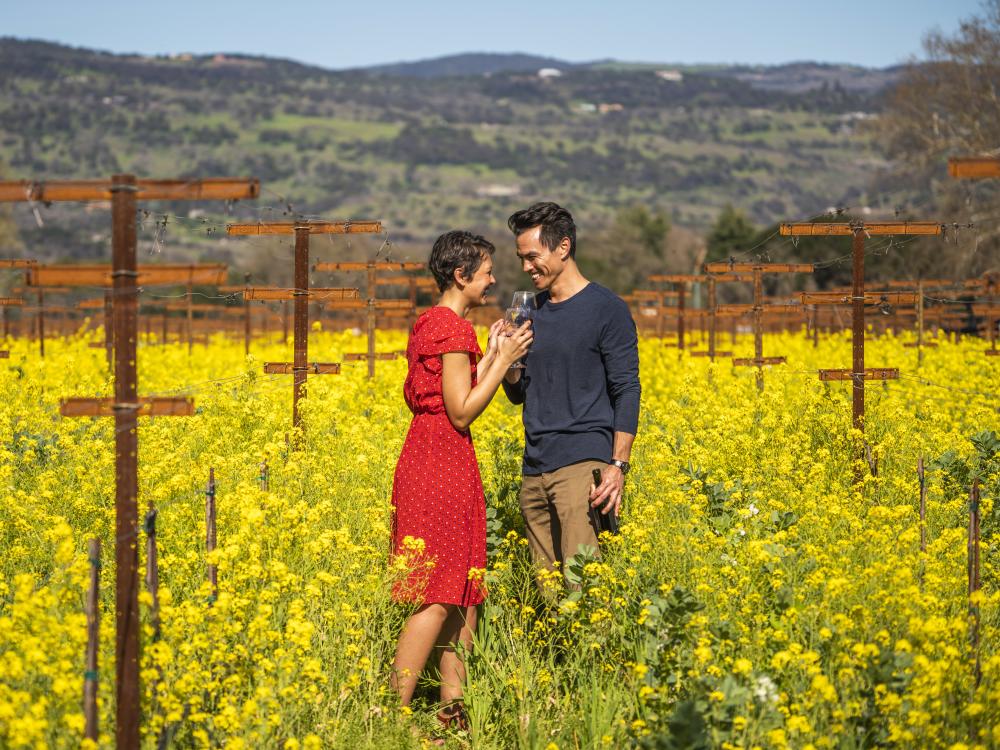 A couple enjoys wine among the wildflowers at Robert Biale Vineyards in Napa Valley