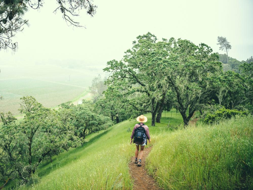 Hiking in Calistoga