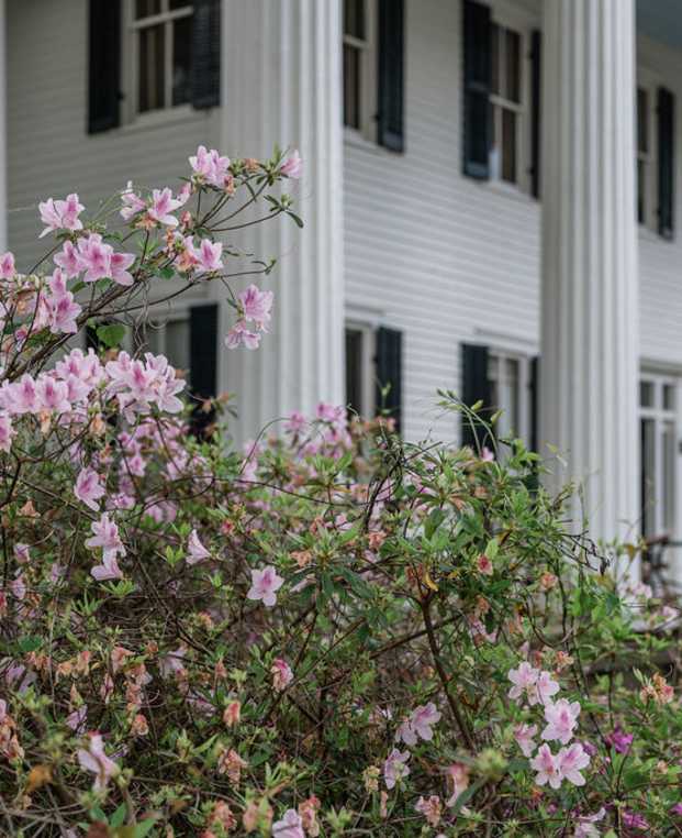 White House w Columns, Spring, Clay