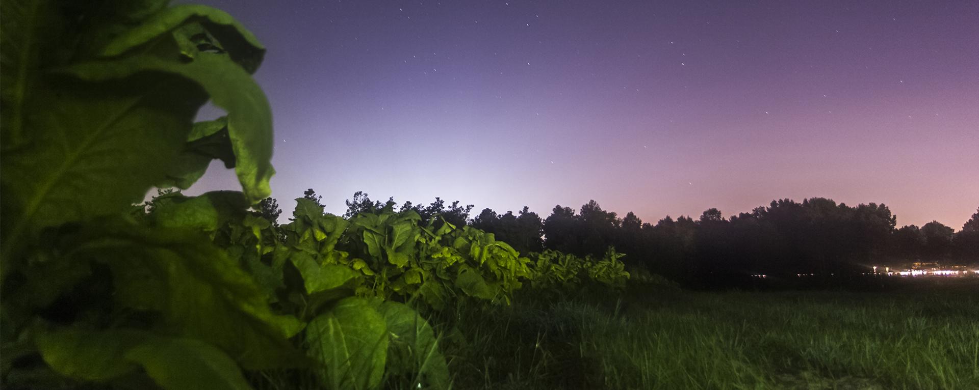 Media Fast Facts Joco Towns Johnston County Nc