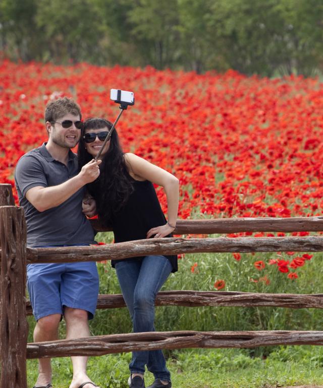 Couple Takes  a Selfie in front of flower field at Wildseed Farms in Fredericksburg