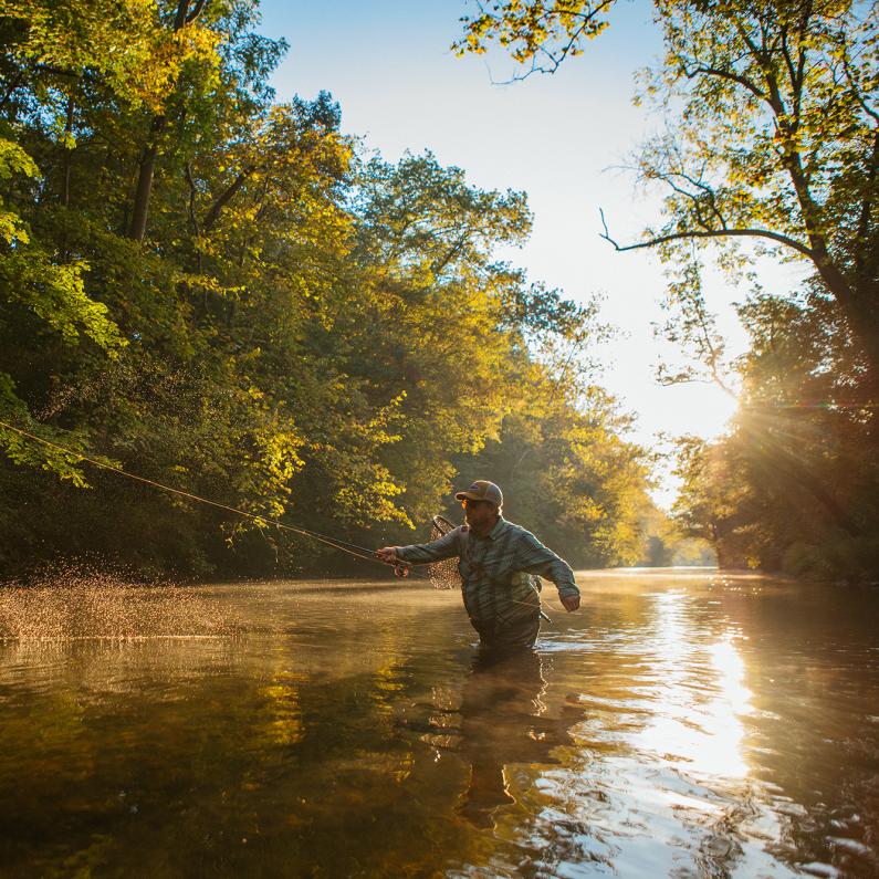 Man Fly-Fishing at Yellow Breeches Creek in Cumberland Valley