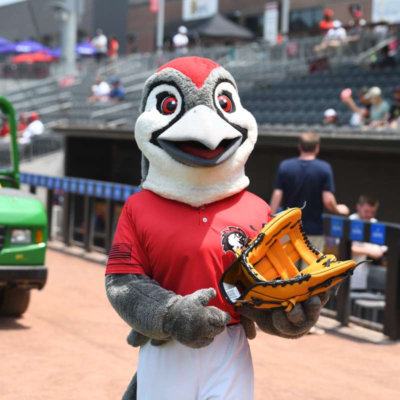 Fayetteville Woodpecker's Baseball Team Mascot
