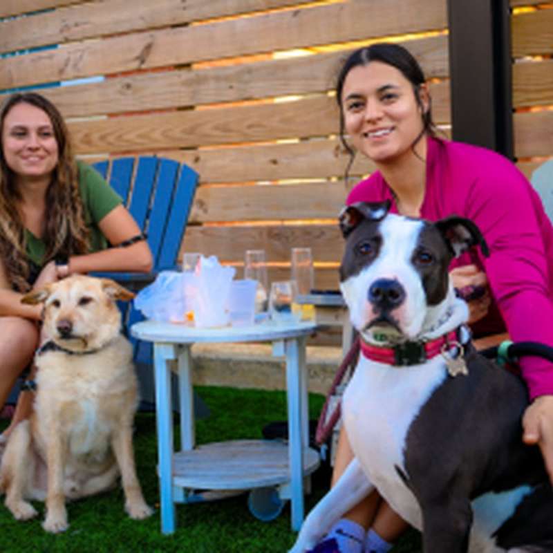 Two women relax outdoors with their dogs at a pet-friendly restaurant in Fayetteville, NC, sitting in Adirondack chairs with drinks on the table.