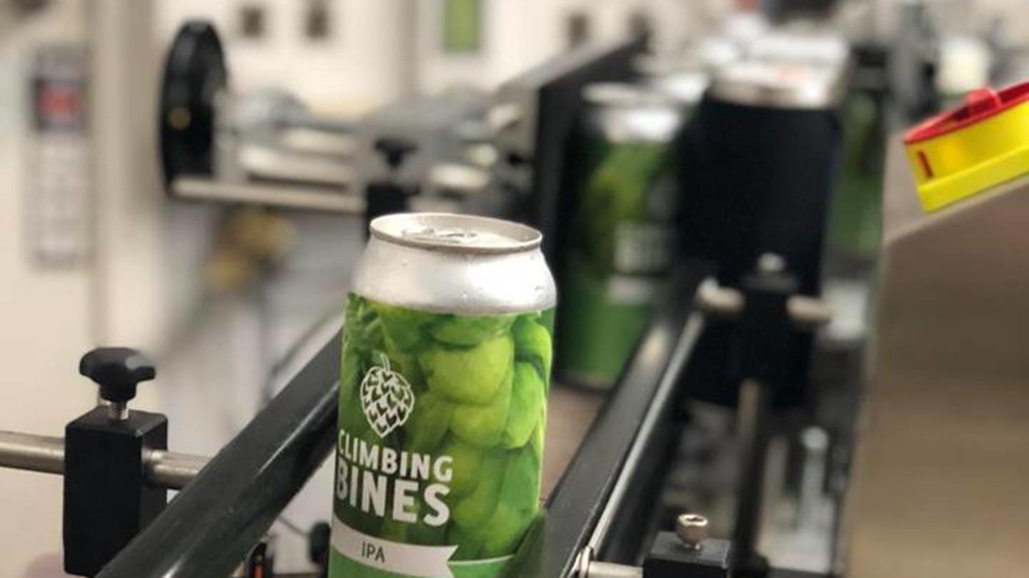 Climbing Bines cans
