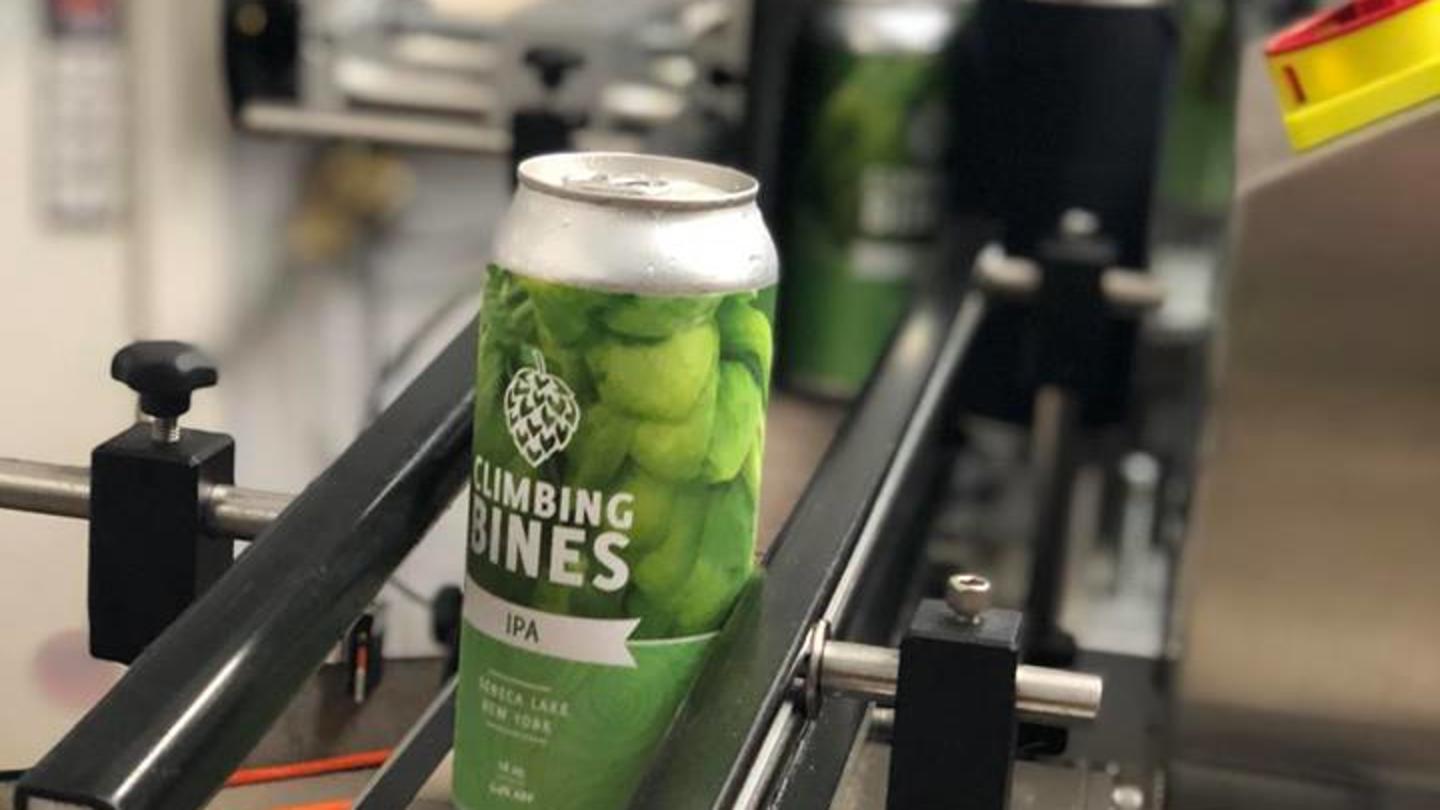 Climbing Bines cans
