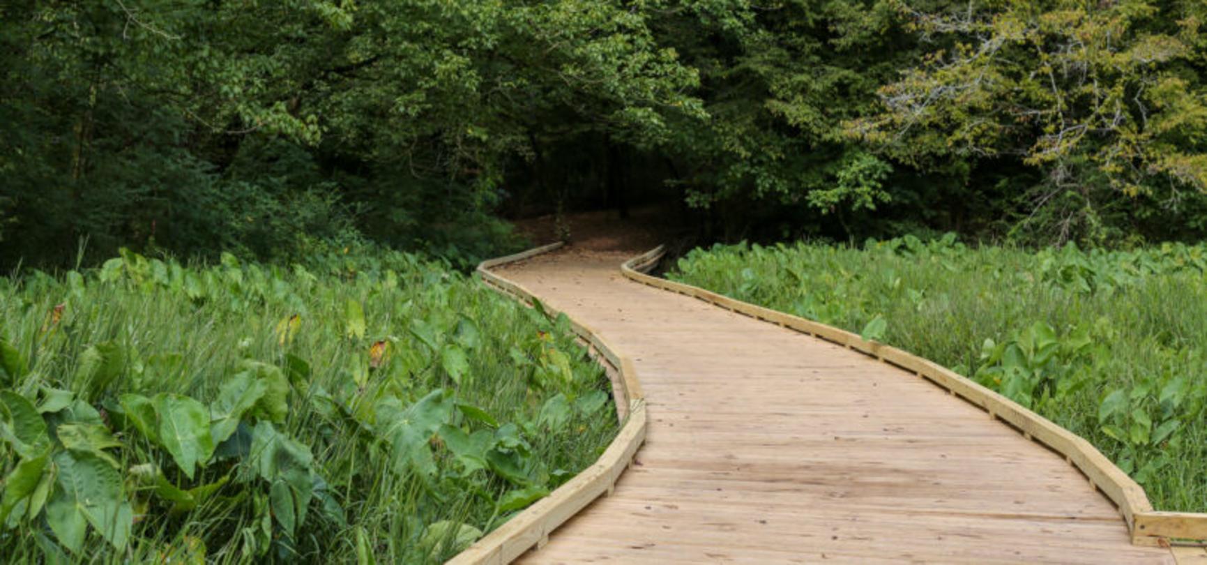 Souvenir protein Beregning Botanical Garden Nature Trails Now More Accessible