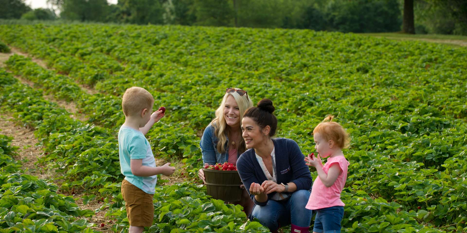 Two women with little kids picking strawberries at Huber's