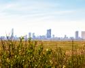 Wildlife Refuge - reedit