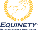 Equinity
