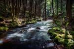 Picture of Flowing Creek through the woods at Bald Eagle State Forest