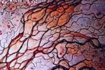Naturescape Gallery presents "Cartographies of Arctic Change" by Greg Fiske