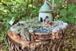 Fairy Houses of Highfield Hall & Gardens 2026: Celebrations!