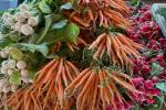 Falmouth Farmers' Market