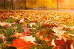 Qi Gong in the Fall at St. Barnabas