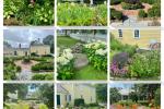 Garden Tours at the Museums on the Green