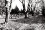 Sinners, Saints, and Silent Souls: A Special Halloween Burying Ground Walking Tour