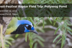 Raptor Field Trip: Pollywog Pond + Corpus Christi HawkWatch