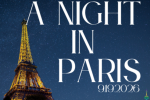 A Night in Paris