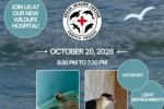 Texas Sealife Center Wildlife Hospital Ribbon Cutting Celebration
