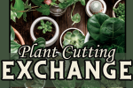 Corpus Christi Plant Exchange — Grow Something New