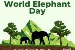 World Elephant Day at the Texas State Aquarium