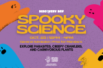 Discovery Day: Spooky Science