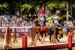 Carolina Renaissance Festival