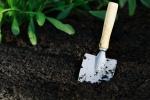 Native Plant Gardening at Hendricks Park — event poster