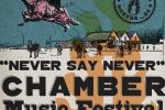 Never Say Never Music Festival