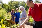 Volunteer at Olbrich Botanical Gardens