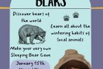 Little Explorers: Bears