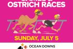 Camel and Ostrich Races