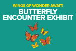 Butterfly Encounter Exhibit Trackside