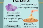 Tots- To - Teens: Fossils