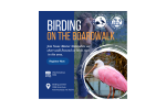 Birding on the Boardwalk