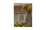 Ton of Brass Band @ Sip Yard Port Aransas