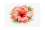 Watercolor Hibiscus with LeAnn Romines