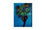 Palms & Wine with Leigh Ann Irish