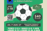 Youth Soccer League